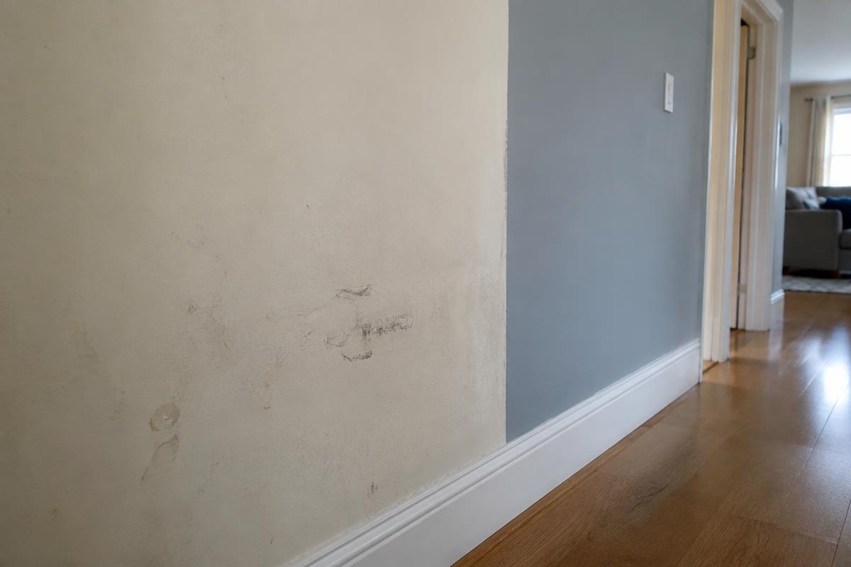 Trabajo de pintura relacionado con ¿Cada cuánto tiempo hay que pintar una casa?
